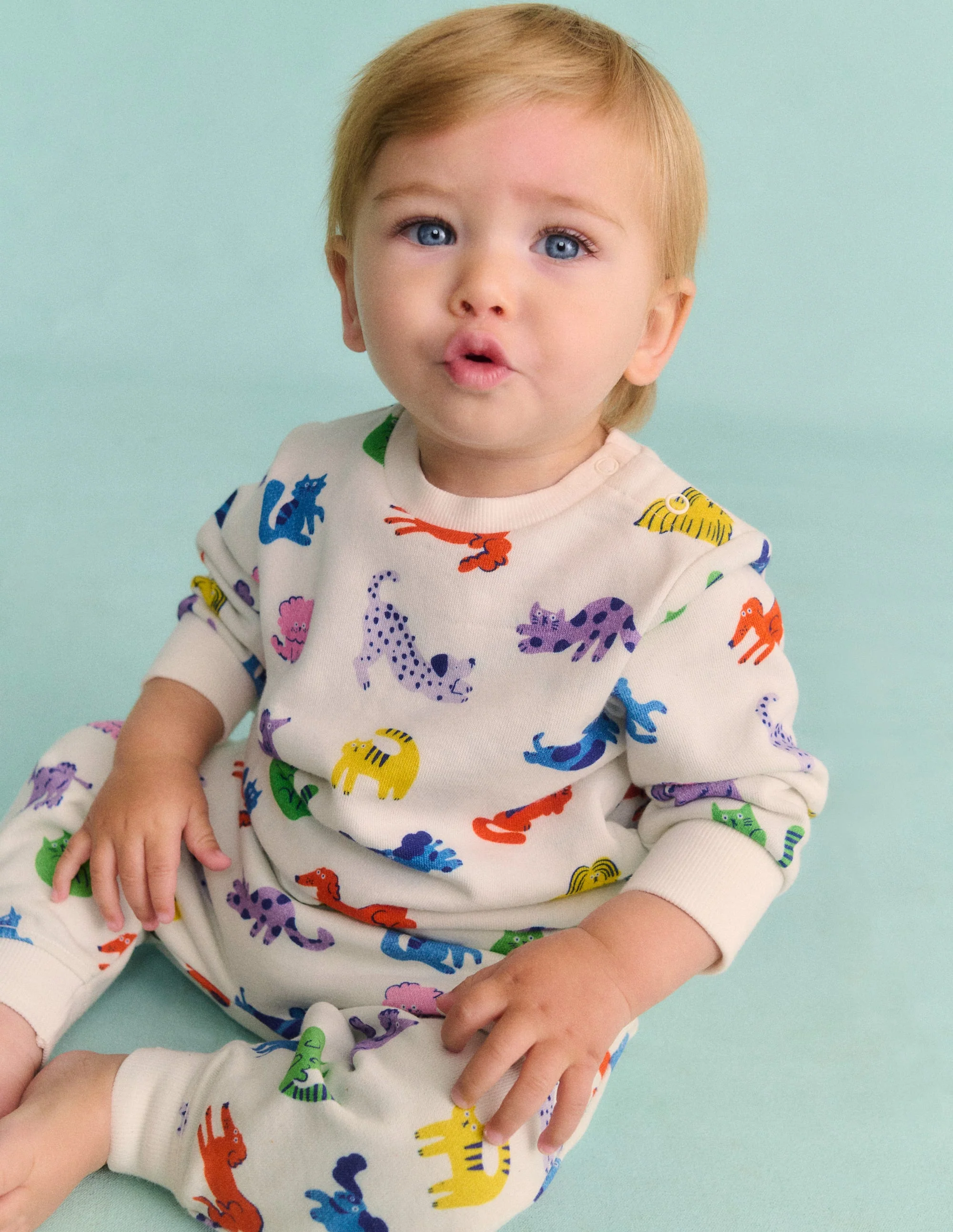 Printed Sweatshirt-Multi Spaced Rainbow Pets - Image 4